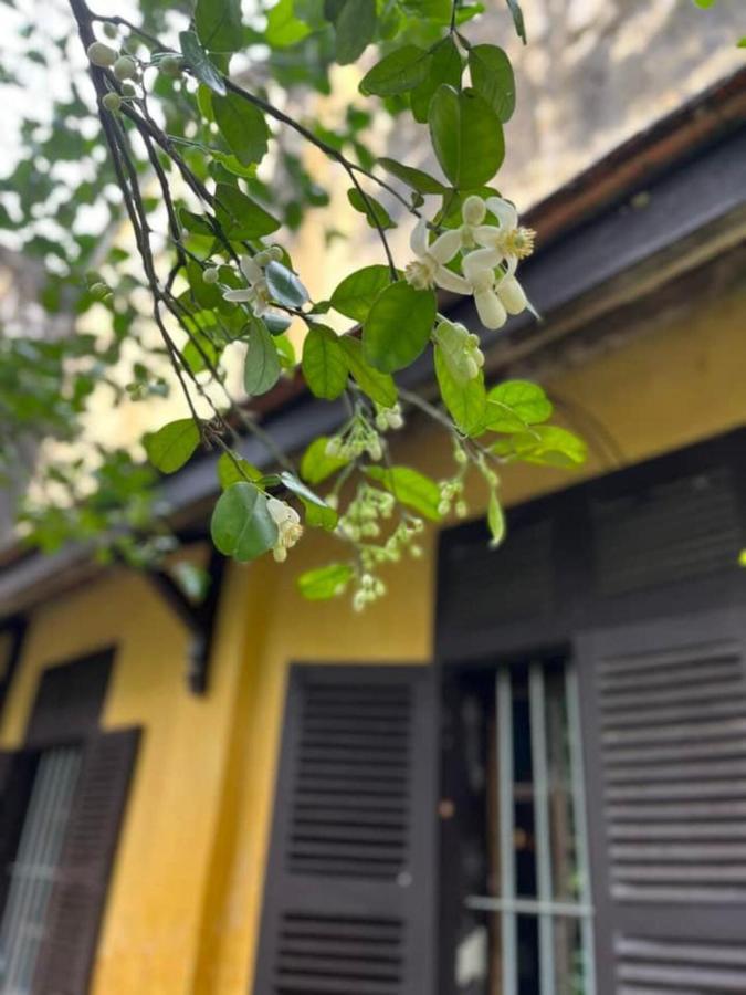 Ciel Hue