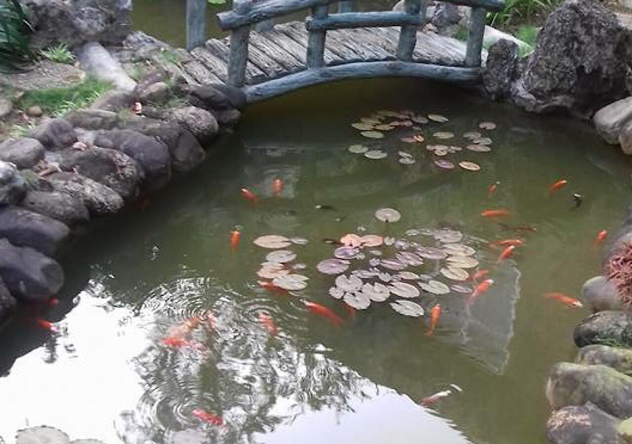 Ciel Hue